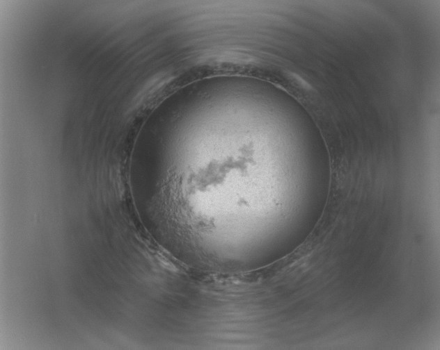 X0000061740774200512161649