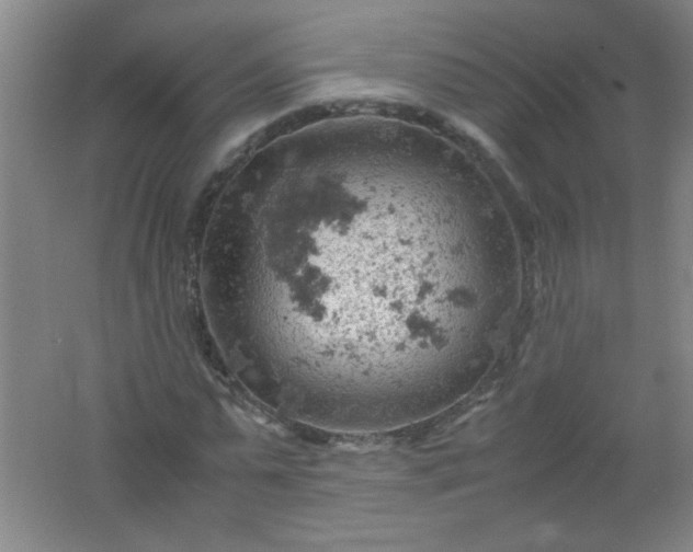 X0000061740775200512161649