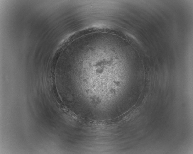 X0000061740776200512161649