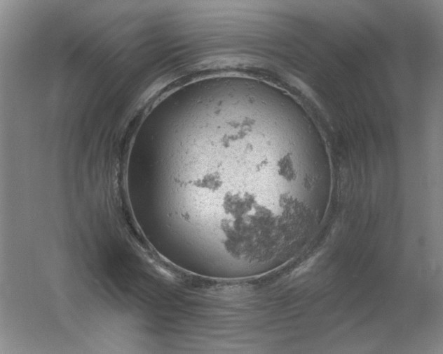 X0000061740778200512161648