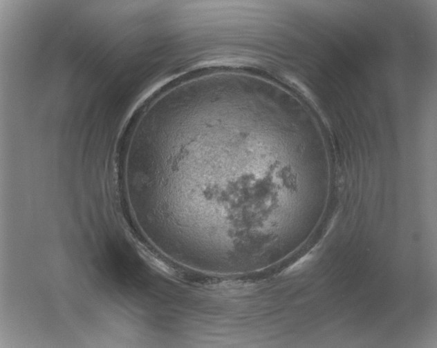 X0000061740779200512161648