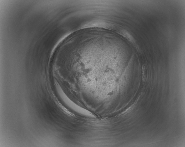 X0000061740780200512161648