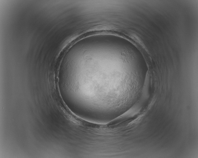 X0000061740781200512161648