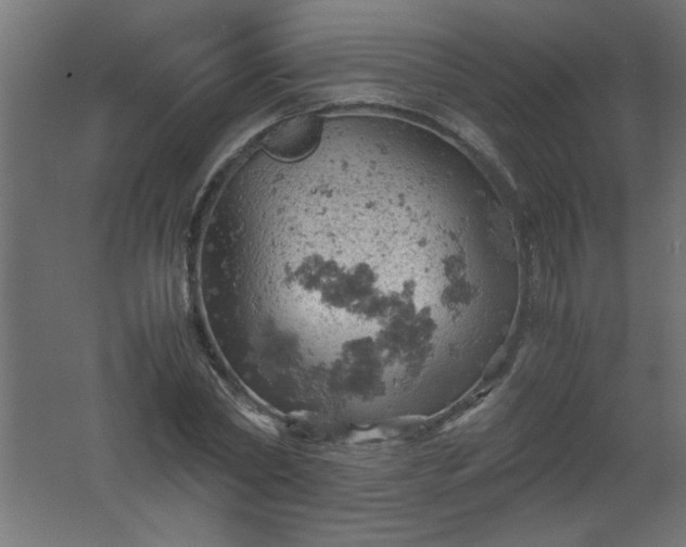 X0000061740782200512161648