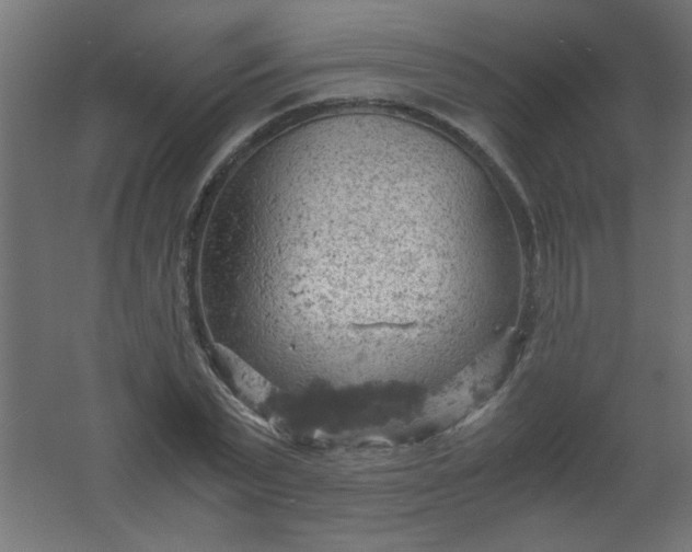 X0000061740783200512161648