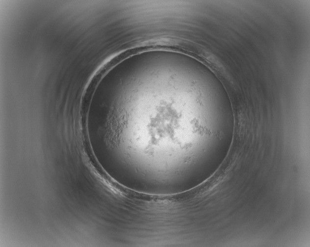 X0000061740784200512161648