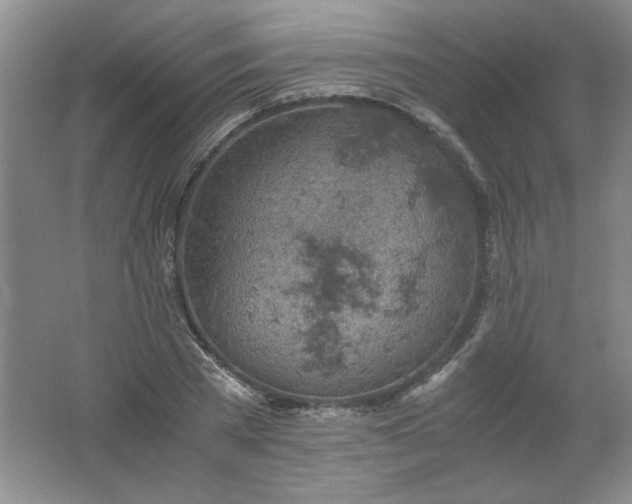 X0000061740785200512161648