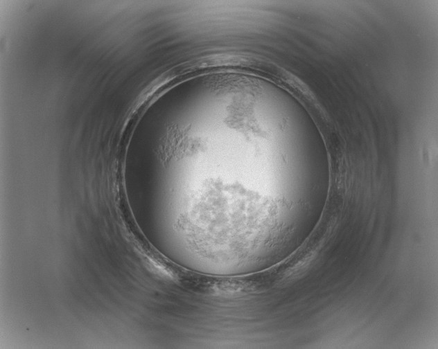 X0000061740786200512161648