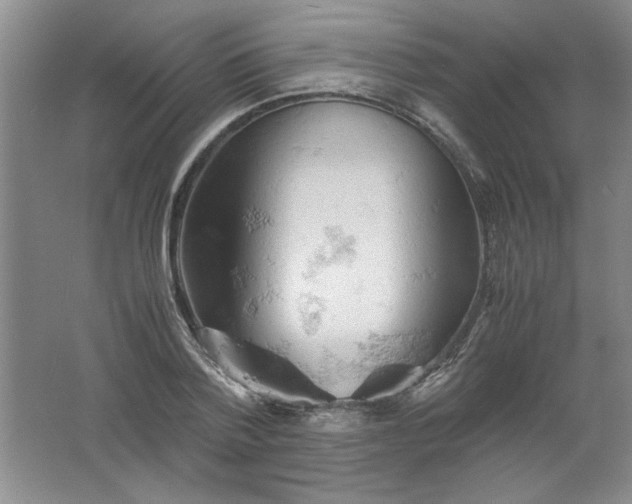 X0000061740788200512161648