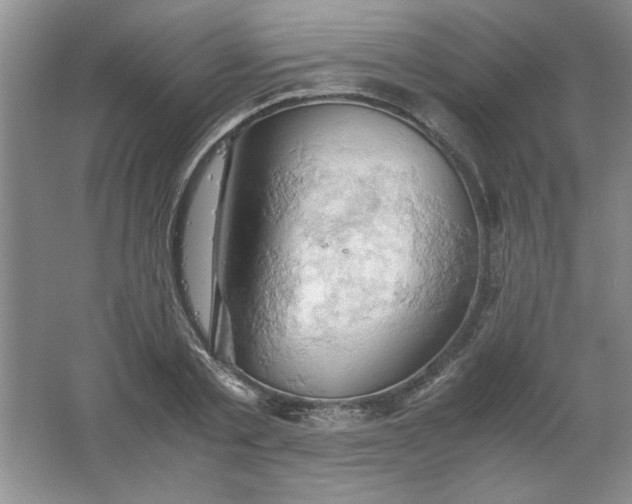 X0000061740789200512161648