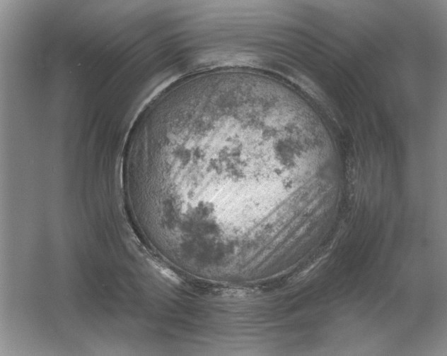 X0000061740790200512161648