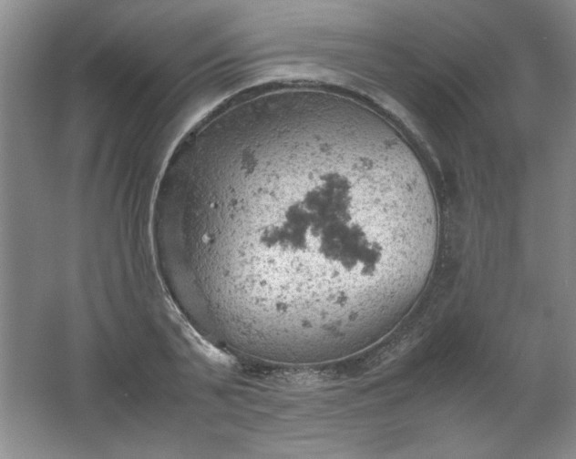 X0000061740791200512161648