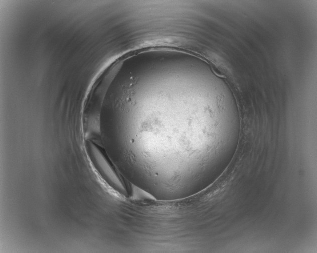 X0000061740792200512161648