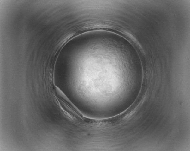 X0000061740793200512161648