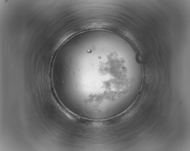 X0000061740794200512161648