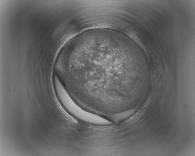 X0000061740797200512161648