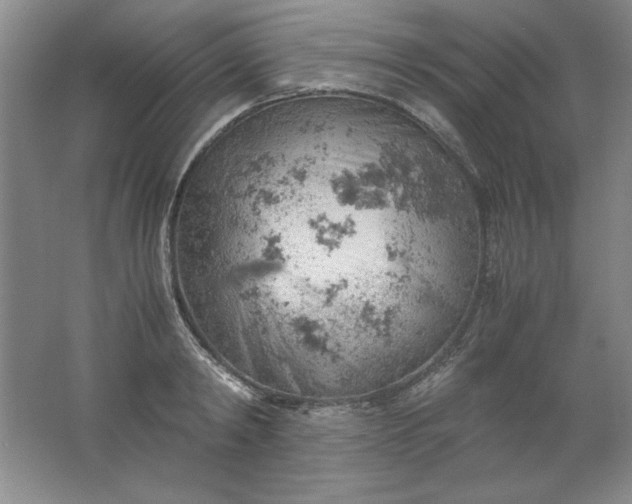 X0000061740798200512161648