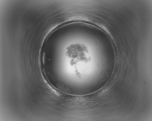 X0000061740799200512161648