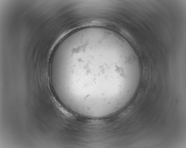 X0000061740800200512161648