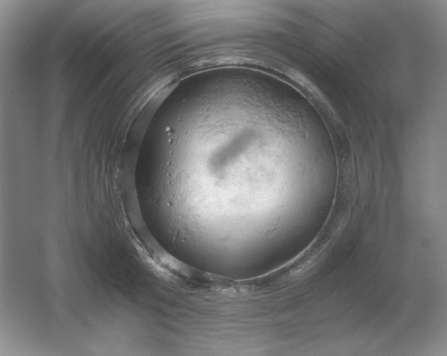 X0000061740801200512161648