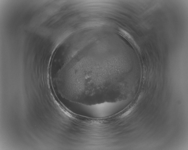 X0000061740802200512161648