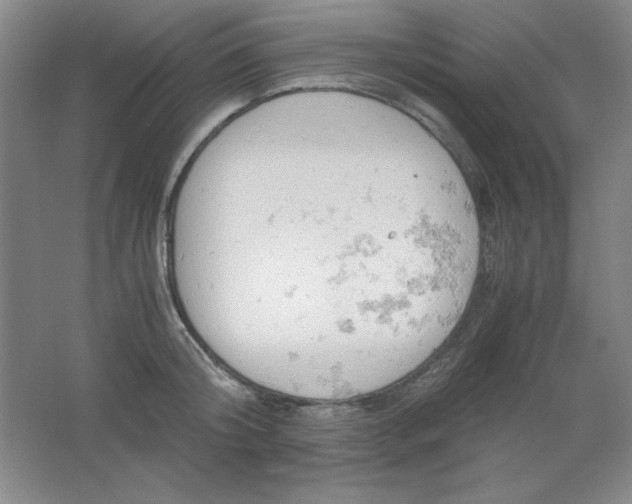 X0000061740804200512161648