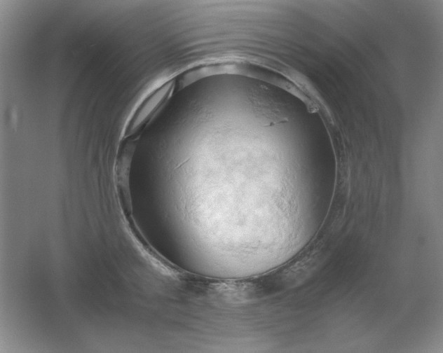 X0000061740805200512161648