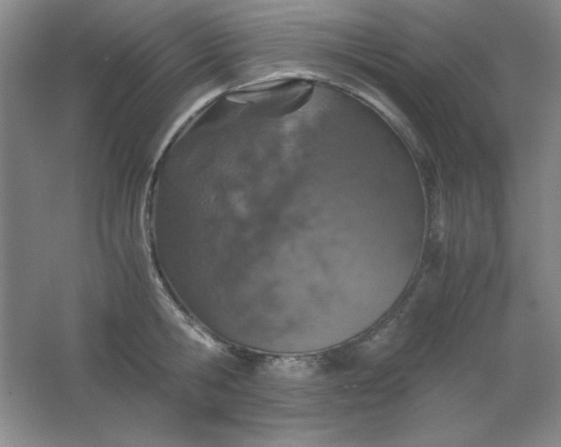 X0000061740806200512161648