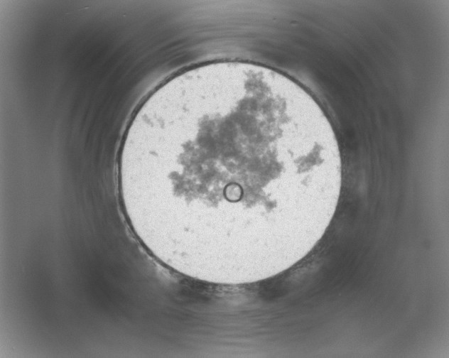 X0000061740807200512161648