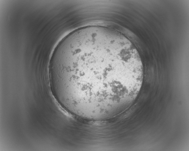 X0000061740808200512161648