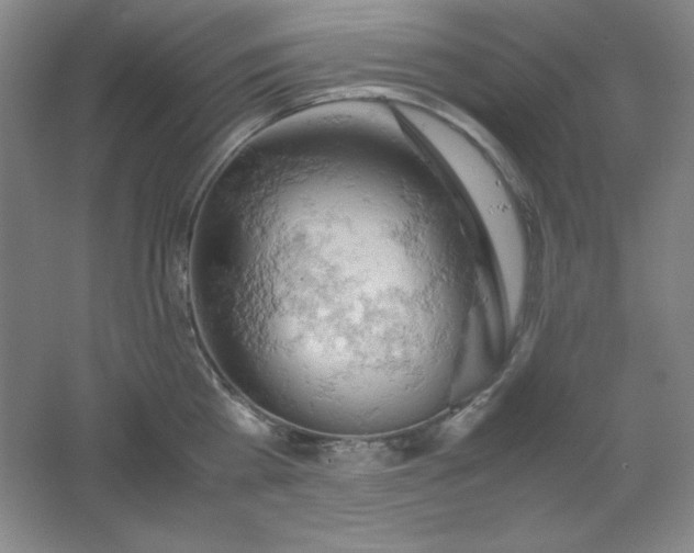 X0000061740809200512161648