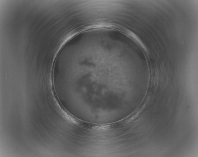 X0000061740810200512161648