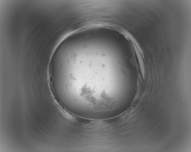 X0000061740811200512161648