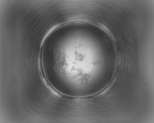 X0000061740812200512161648