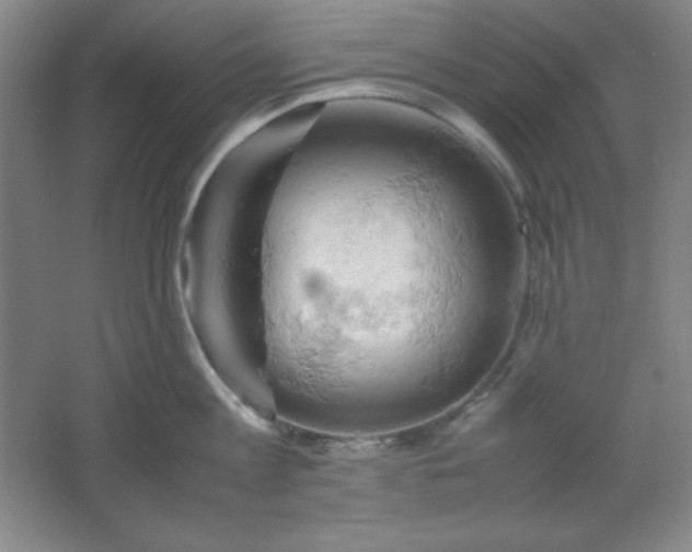 X0000061740813200512161648