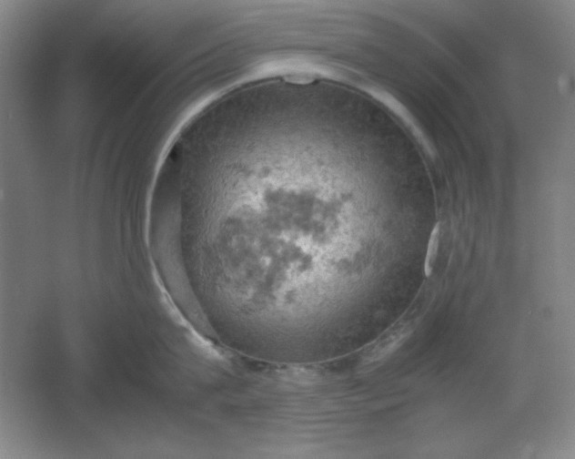 X0000061740815200512161648