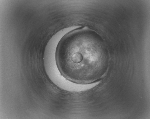 X0000061740818200512161647