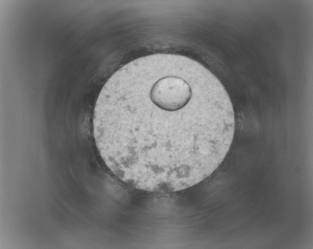 X0000061740820200512161647