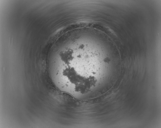 X0000061740821200512161647