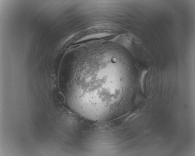 X0000061740822200512161647