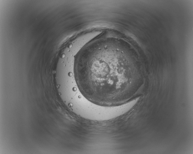 X0000061740824200512161647