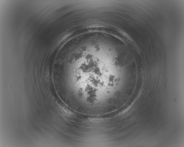 X0000061740825200512161647