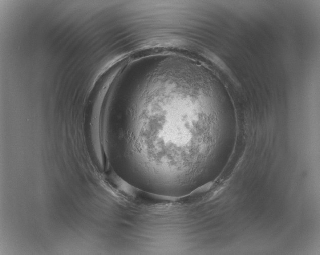 X0000061740826200512161647