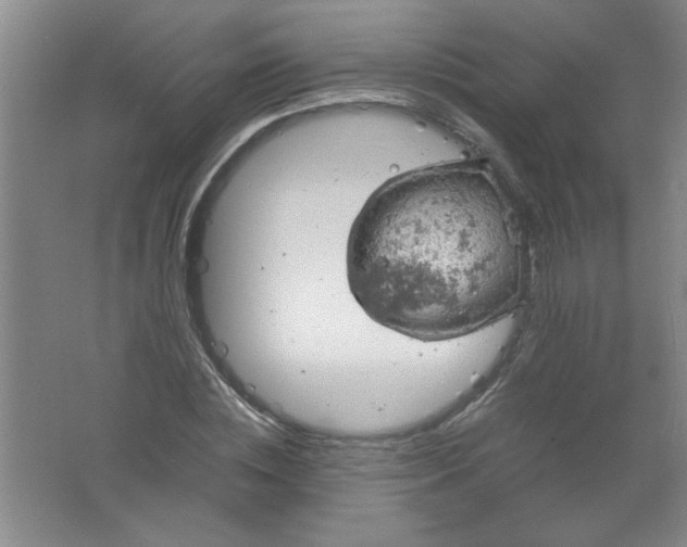 X0000061740828200512161647