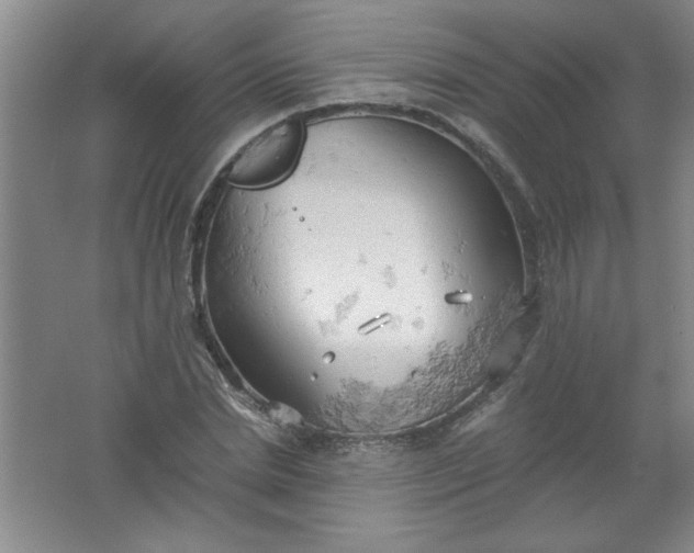 X0000061740830200512161647