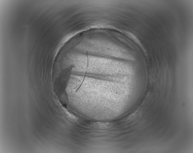 X0000061740831200512161647