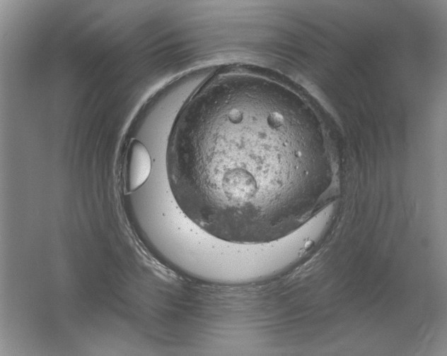 X0000061740832200512161647