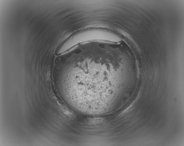 X0000061740833200512161647