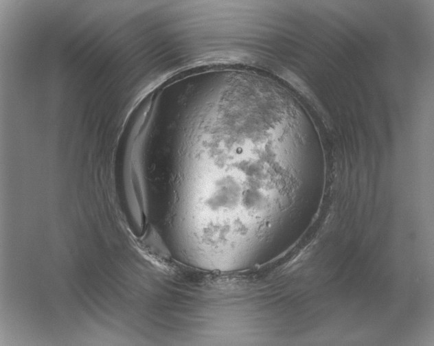 X0000061740834200512161647