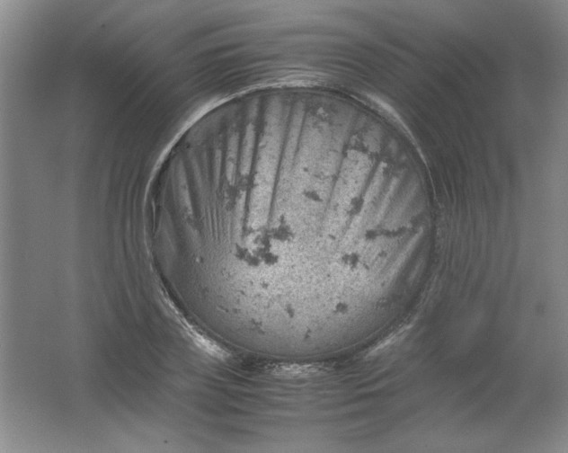 X0000061740835200512161647